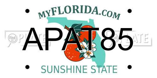 APAT85 Florida License Plate