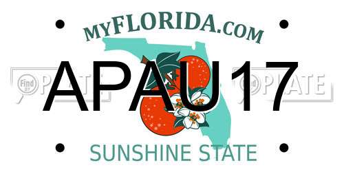 APAU17 Florida License Plate