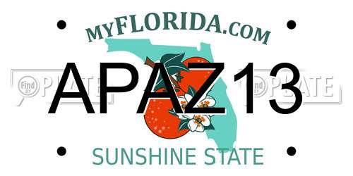 APAZ13 Florida License Plate