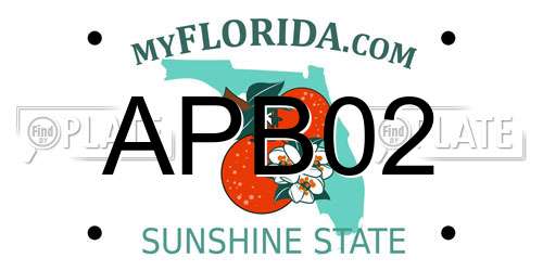 APB02 Florida License Plate