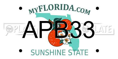 APB33 Florida License Plate