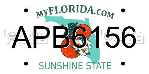 APB6156 Florida License Plate