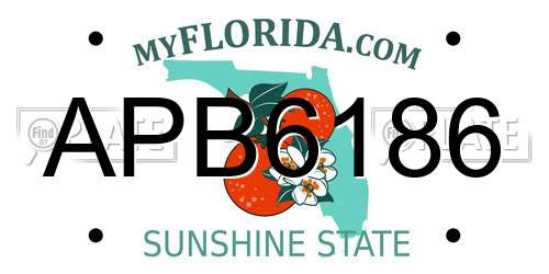 APB6186 Florida License Plate