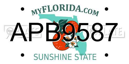 APB9587 Florida License Plate