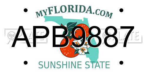 APB9887 Florida License Plate