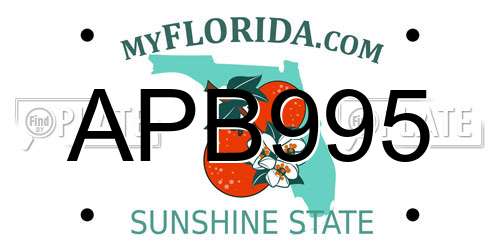 APB995 Florida License Plate