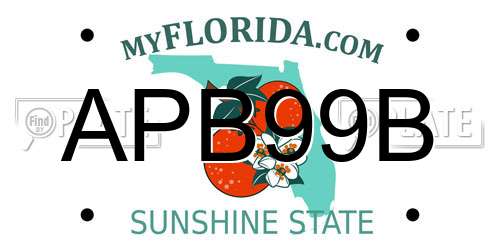 APB99B Florida License Plate