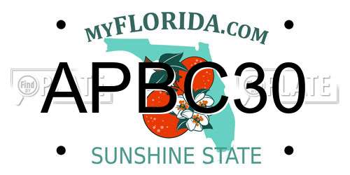 APBC30 Florida License Plate