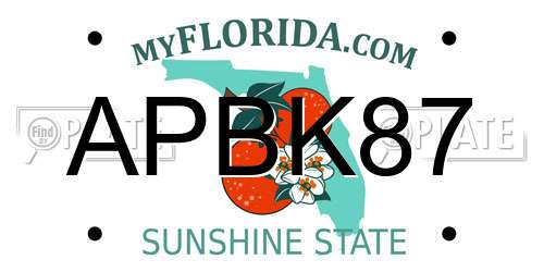 APBK87 Florida License Plate