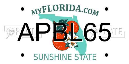 APBL65 Florida License Plate