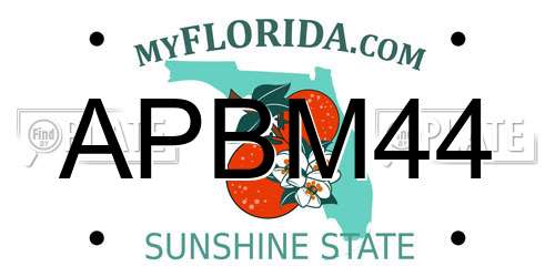 APBM44 Florida License Plate