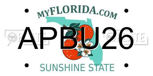 APBU26 Florida License Plate