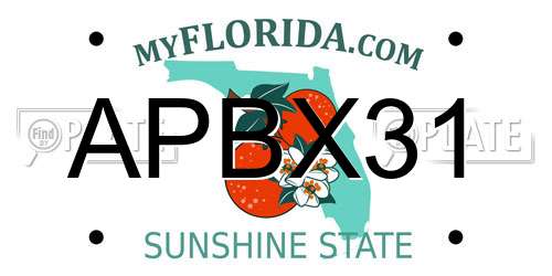 APBX31 Florida License Plate