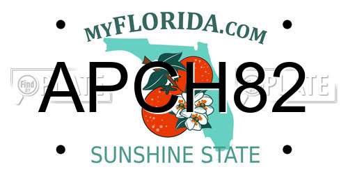 APCH82 Florida License Plate
