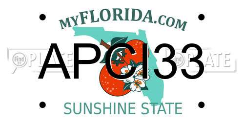 APCI33 Florida License Plate