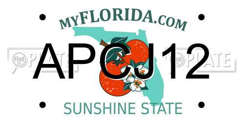 APCJ12 Florida License Plate
