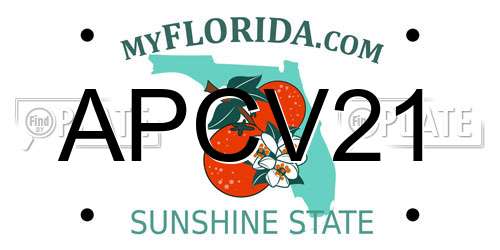 APCV21 Florida License Plate
