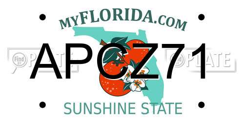 APCZ71 Florida License Plate