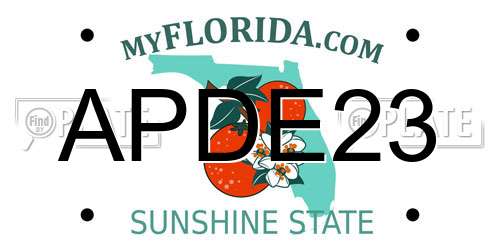 APDE23 Florida License Plate