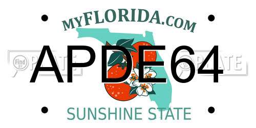 APDE64 Florida License Plate