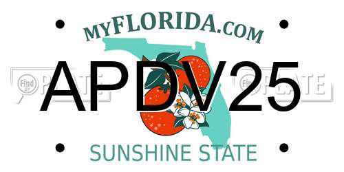 APDV25 Florida License Plate