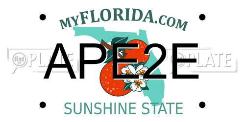 APE2E Florida License Plate