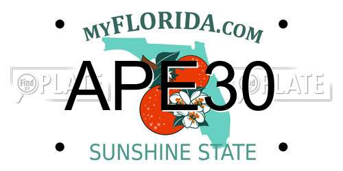 APE30 Florida License Plate