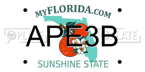 APE3B Florida License Plate