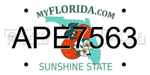 APE7563 Florida License Plate