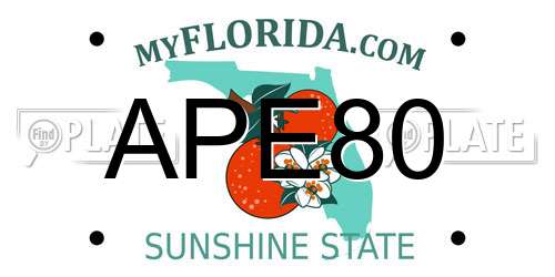 APE80 Florida License Plate