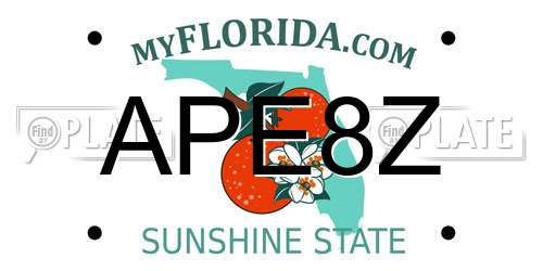 APE8Z Florida License Plate