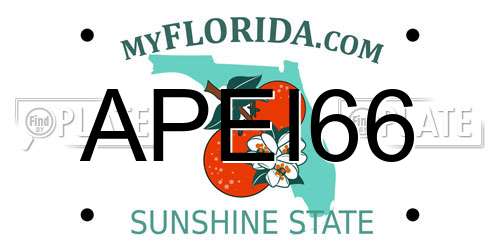 APEI66 Florida License Plate