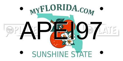 APEI97 Florida License Plate