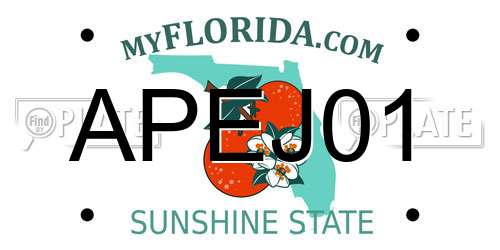 APEJ01 Florida License Plate