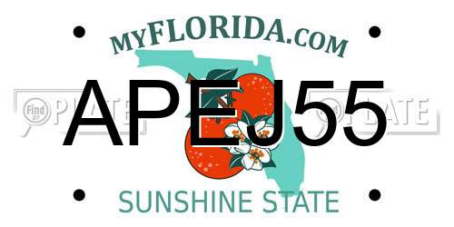 APEJ55 Florida License Plate