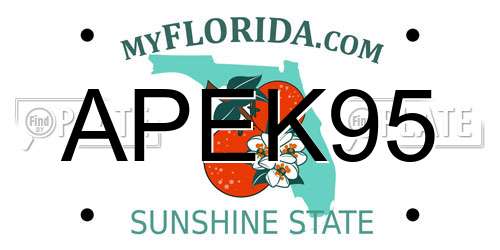 APEK95 Florida License Plate