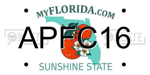 APFC16 Florida License Plate