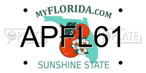 APFL61 Florida License Plate