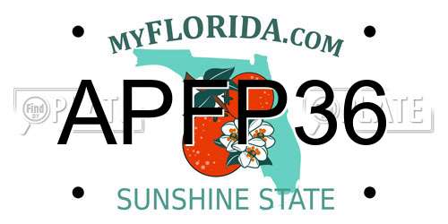 APFP36 Florida License Plate