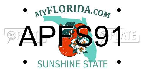 APFS91 Florida License Plate