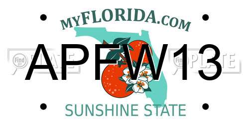 APFW13 Florida License Plate