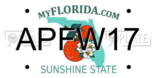 APFW17 Florida License Plate