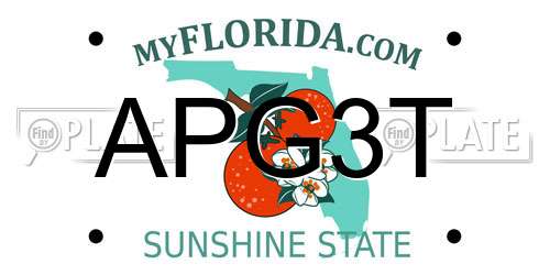 APG3T Florida License Plate