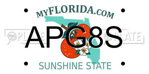 APG8S Florida License Plate
