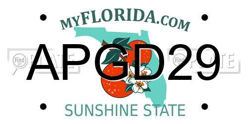 APGD29 Florida License Plate
