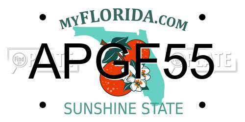 APGF55 Florida License Plate
