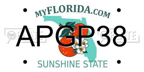 APGP38 Florida License Plate