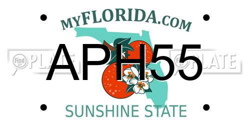 APH55 Florida License Plate