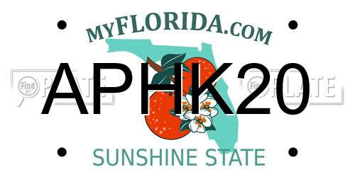 APHK20 Florida License Plate