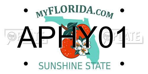 APHY01 Florida License Plate